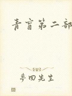 青盲第二部封面