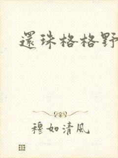 还珠格格野传封面