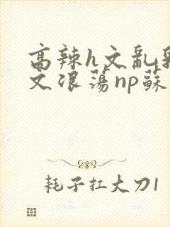 高辣h文乱乳h文浪荡np苏夏