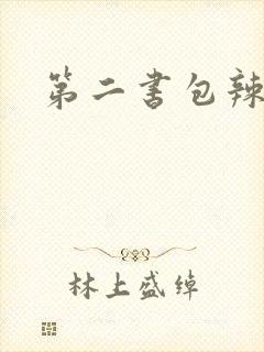 第二书包辣文封面
