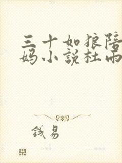 三十如狼陪读妈妈小说杜雨馨封面