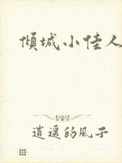 倾城小佳人封面