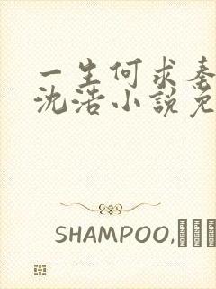 一生何求秦菲雪沈浩小说免费阅读全文