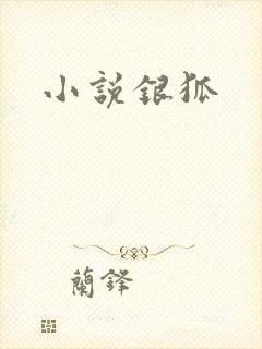 小说银狐