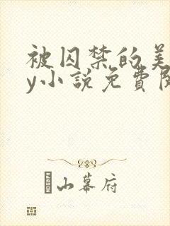 被囚禁的美人by小说免费阅读