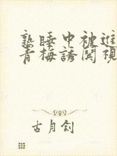 熟睡中被进了H青梅诱哄视频