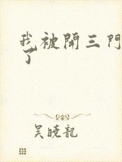 我被开三门痛晕了封面
