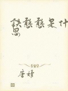 铁憨憨是什么意思封面