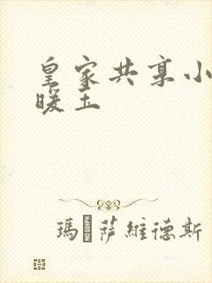 皇家共享小公主暖玉