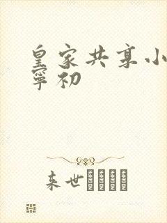 皇家共享小公主宁初封面