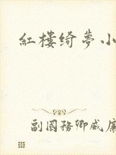 红楼绮梦小说封面