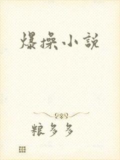 爆操小说封面