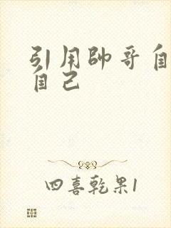 引用帅哥自己玩自己封面