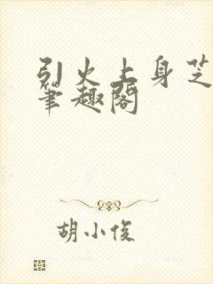 引火上身芝麻糖笔趣阁封面