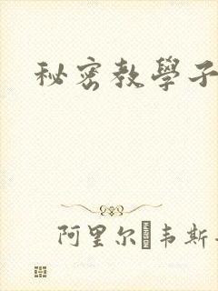 秘密教学子豪封面