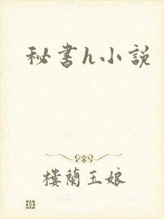 秘书h小说