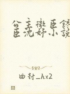 公主微臣馋了微臣沈妤小说