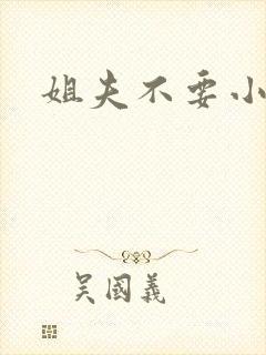 姐夫不要小说