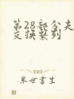 第28部分夫妇交换系列