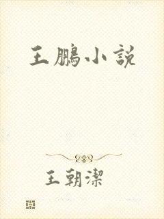 王鹏小说