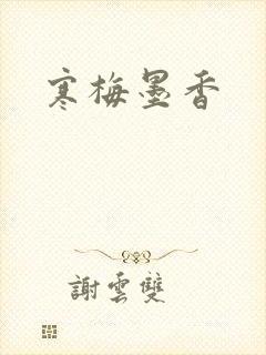 寒梅墨香封面