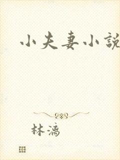 小夫妻小说