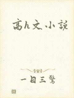 高h文小说