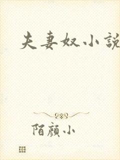 夫妻奴小说封面