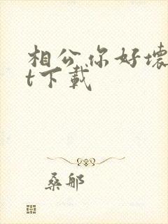 相公你好坏txt下载