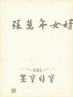 张万年女婿封面