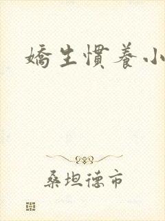 娇生惯养小说封面