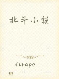 北斗小说