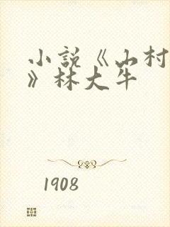 小说《山村情事》林大牛