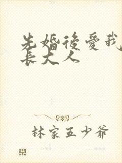 先婚后爱我的市长大人封面