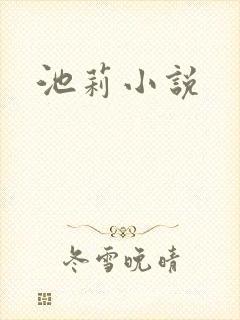 池莉小说