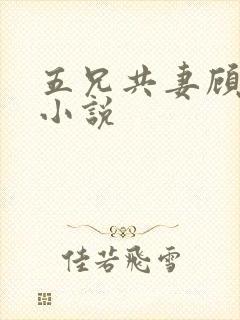 五兄共妻顾心儿小说