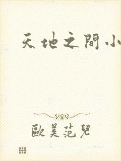 天地之间小说