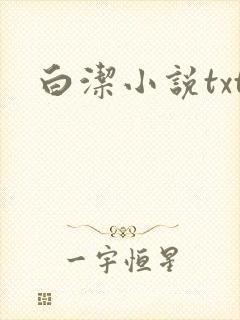 白洁小说txt封面