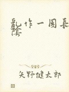 乱作一团长日光阴