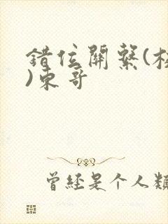 错位关系(校园)东哥