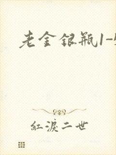 老金银瓶1-5封面