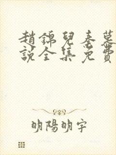 赵锦儿秦慕修小说全集免费