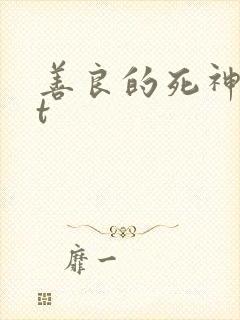 善良的死神txt封面