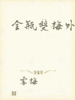 金瓶双梅外传封面