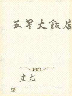 五星大饭店小说