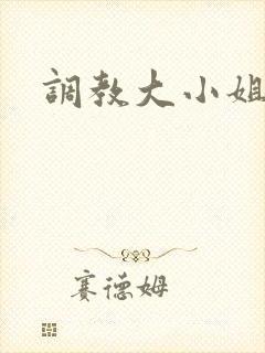 调教大小姐封面