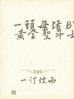 一头母猪 BY 黄金圣斗士