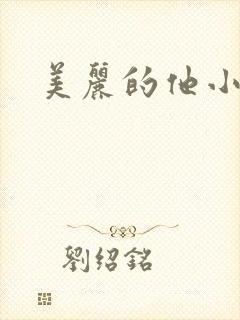 美丽的他小说封面