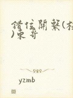 错位关系(校园)东哥