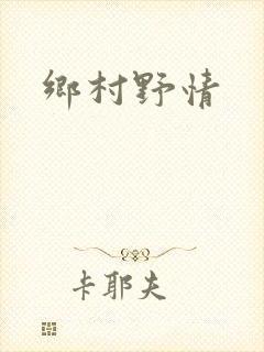 乡村野情封面